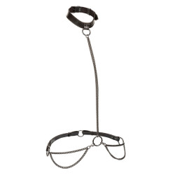 Calexotics - Euphoria Collier Et Laisse Chaine